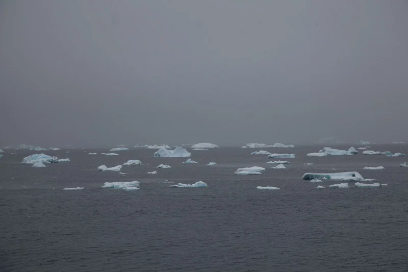 antarticablogone217.jpg