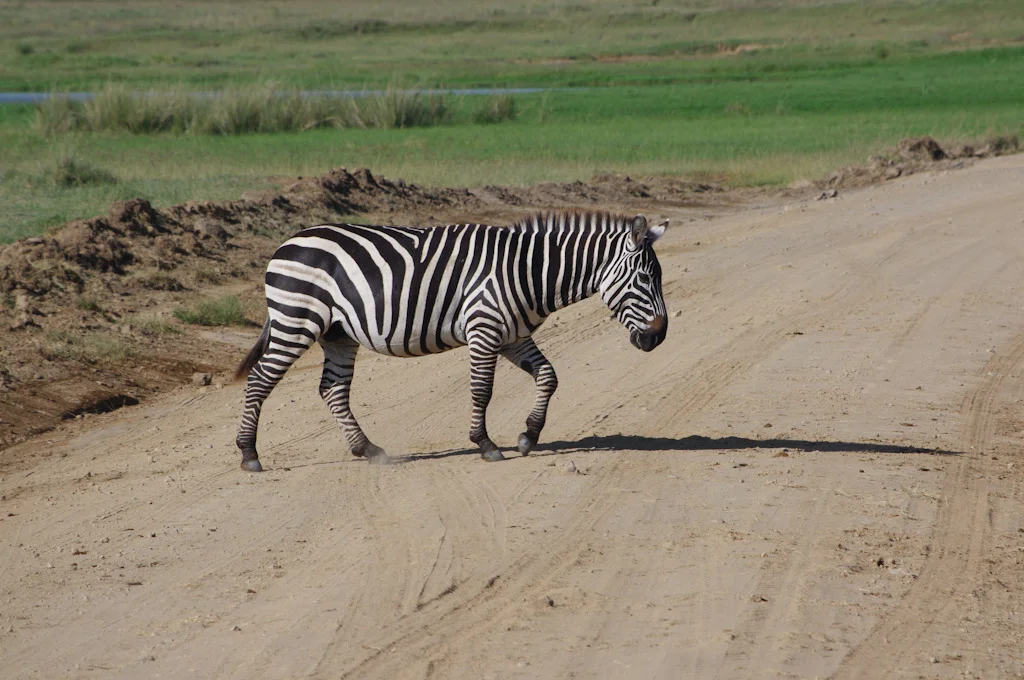 kenya blog gallery-69.jpg