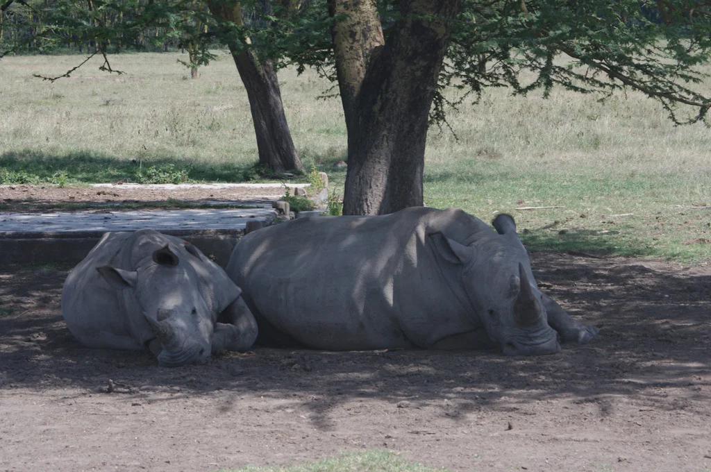 kenya blog gallery-75.jpg