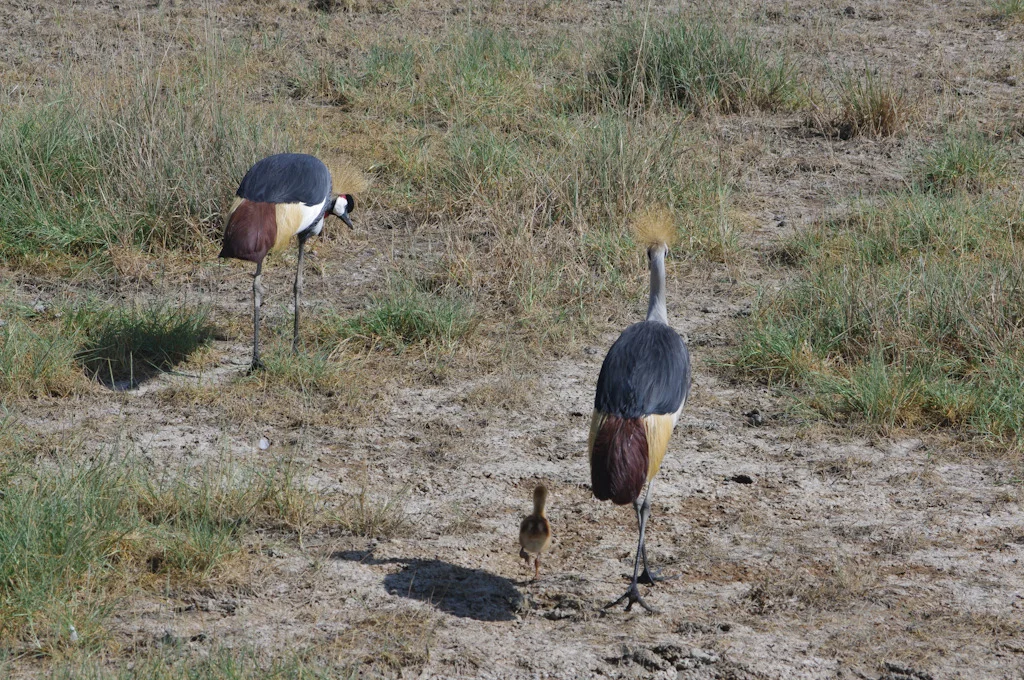 kenya blog gallery-74.jpg