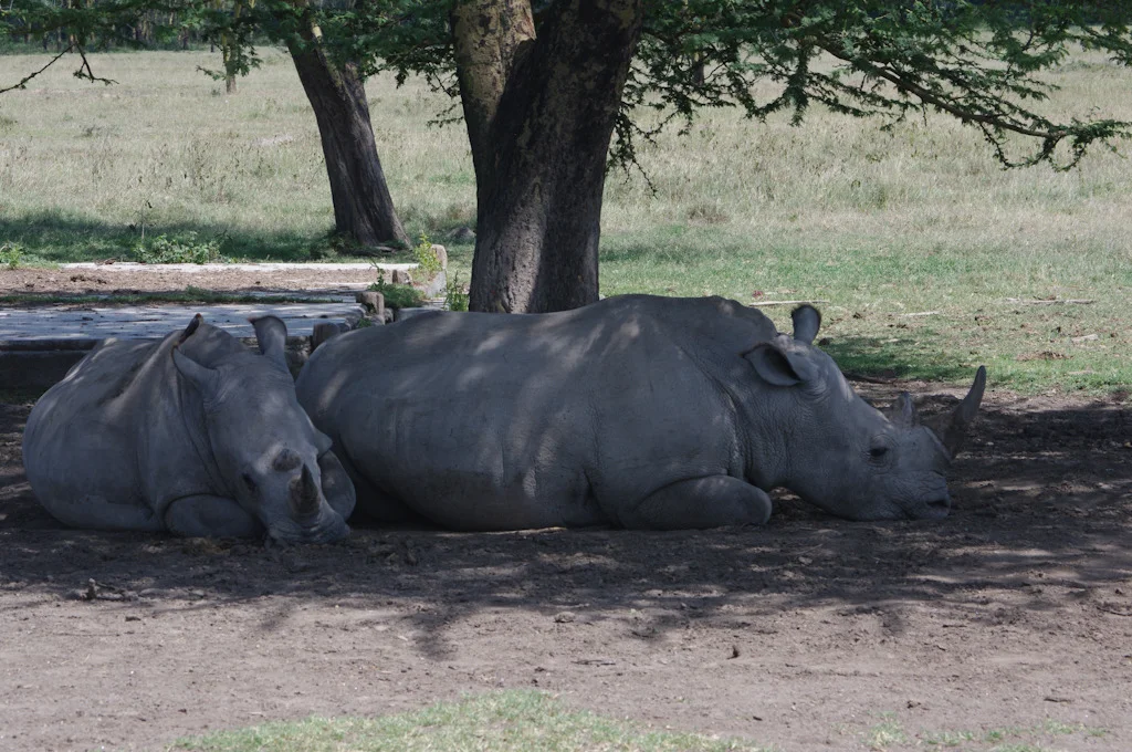 kenya blog gallery-77.jpg