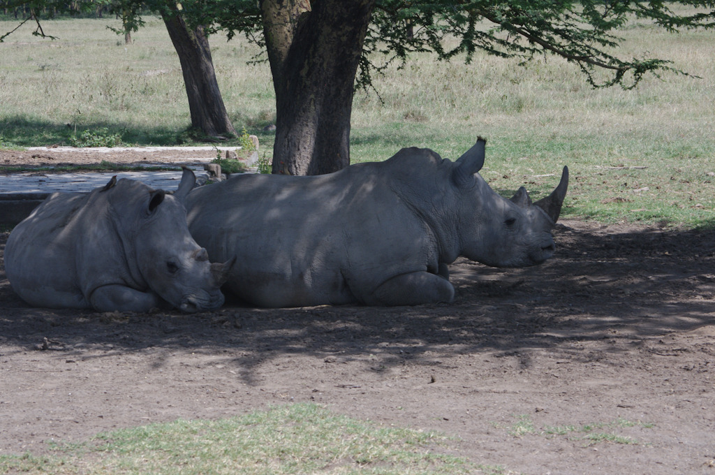 kenya blog gallery-76.jpg