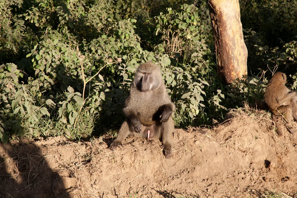 kenya blog gallery-79.jpg