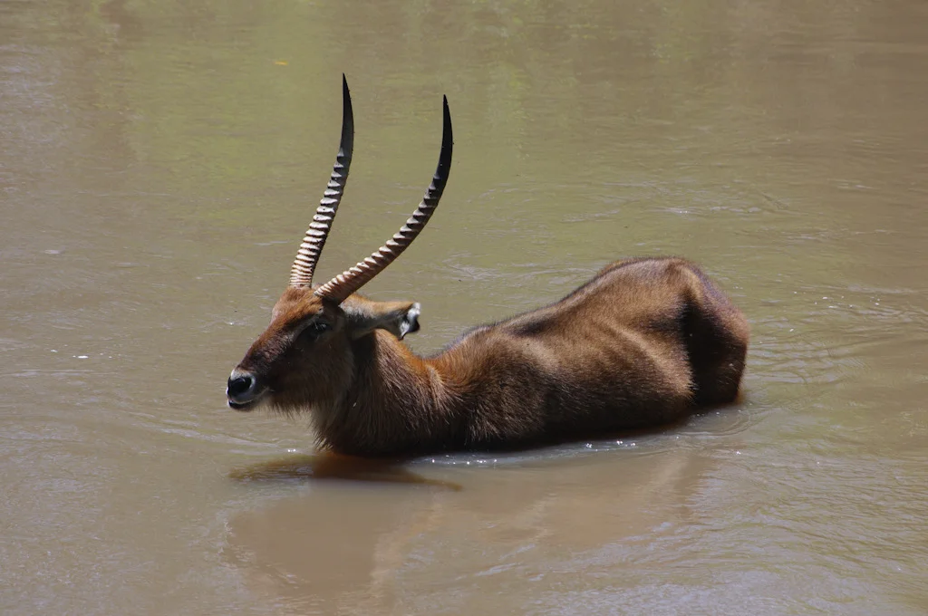 kenya blog gallery-78.jpg