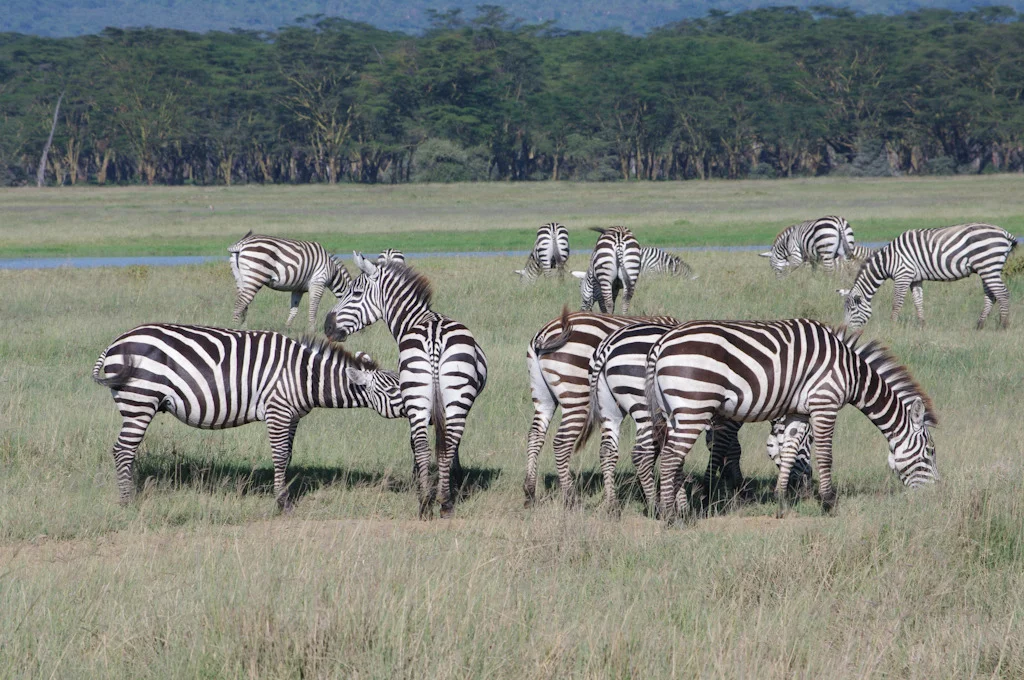 kenya blog gallery-70.jpg
