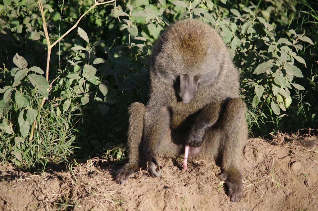 kenya blog gallery-62.jpg