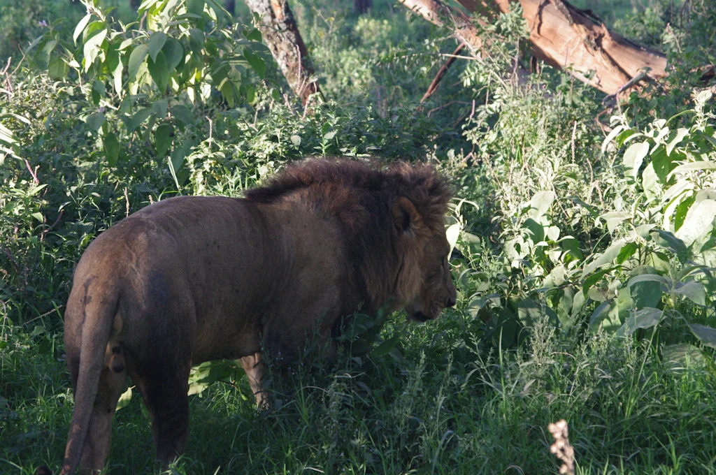 kenya blog gallery-64.jpg