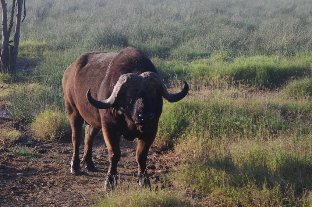 kenya blog gallery-63.jpg