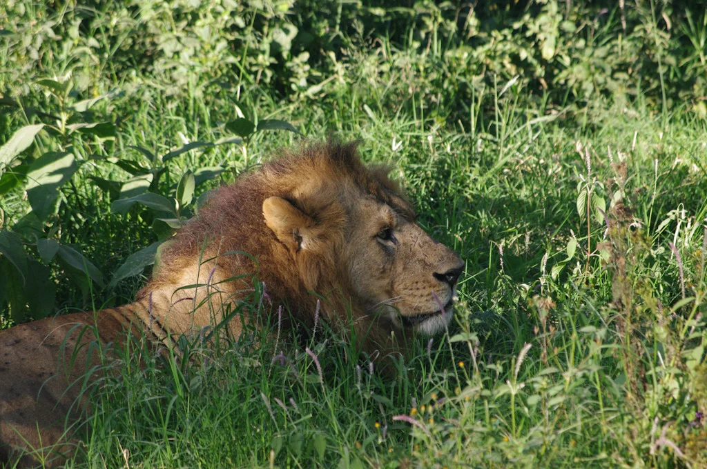 kenya blog gallery-66.jpg
