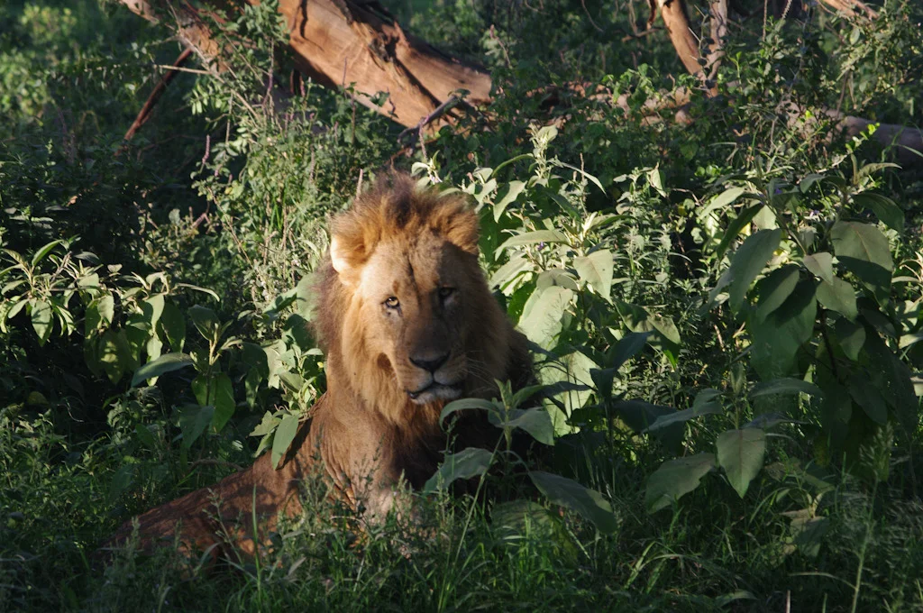 kenya blog gallery-65.jpg