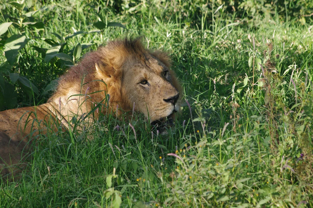 kenya blog gallery-68.jpg