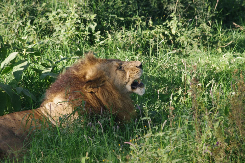 kenya blog gallery-67.jpg