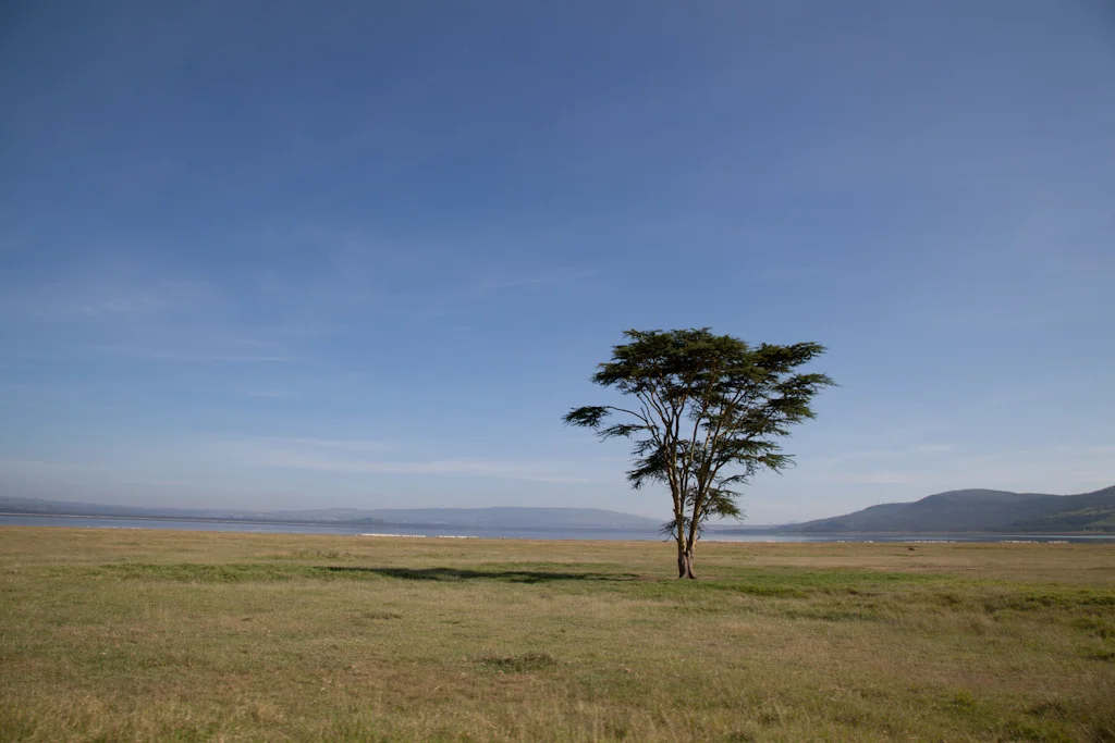 kenya blog gallery-83.jpg