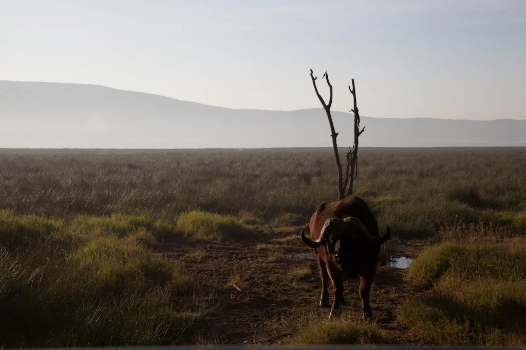 kenya blog gallery-80.jpg