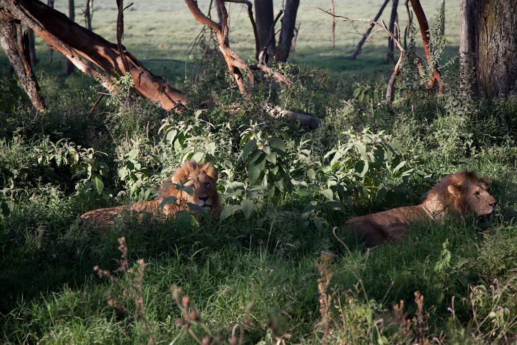 kenya blog gallery-81.jpg