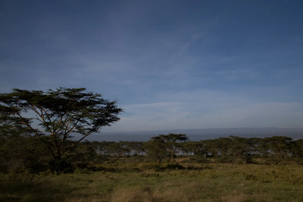 kenya blog gallery-1.jpg