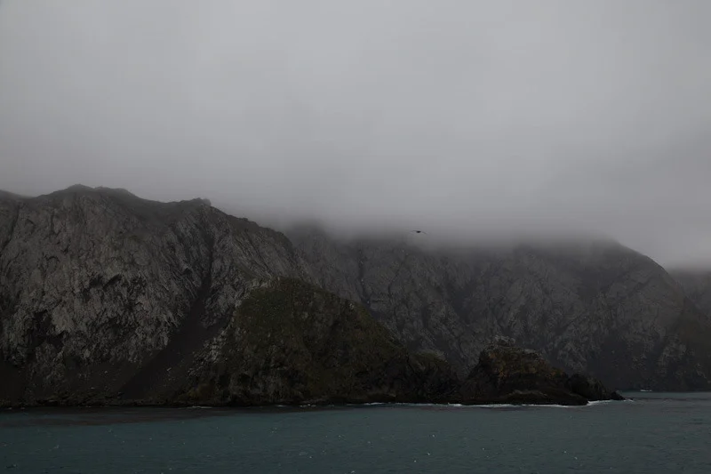 falkgeorgblog131.jpg