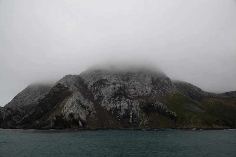 falkgeorgblog130.jpg
