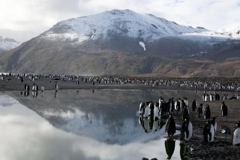 falkgeorgblog143.jpg