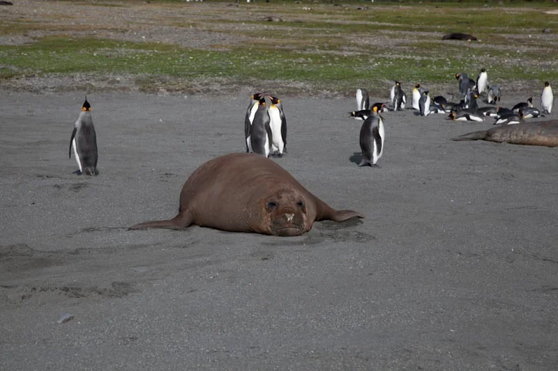falkgeorgblog138.jpg