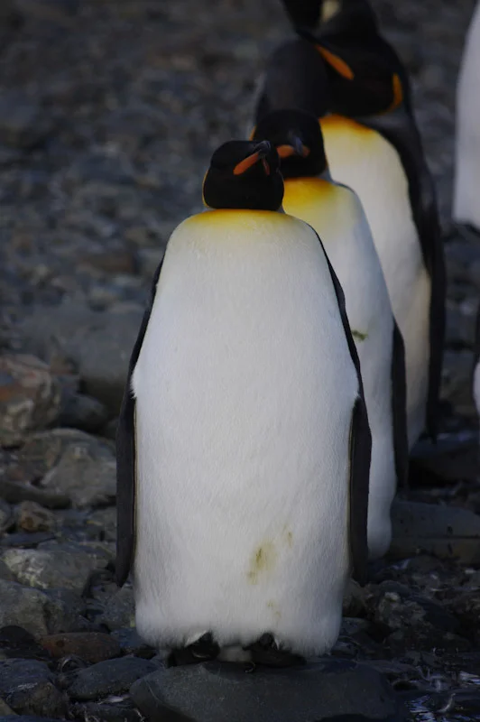 falkgeorgblog139.jpg