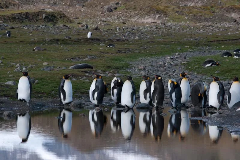 falkgeorgblog140.jpg