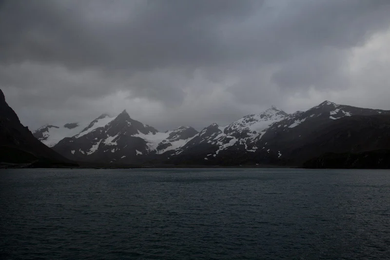 falkgeorgblog135.jpg