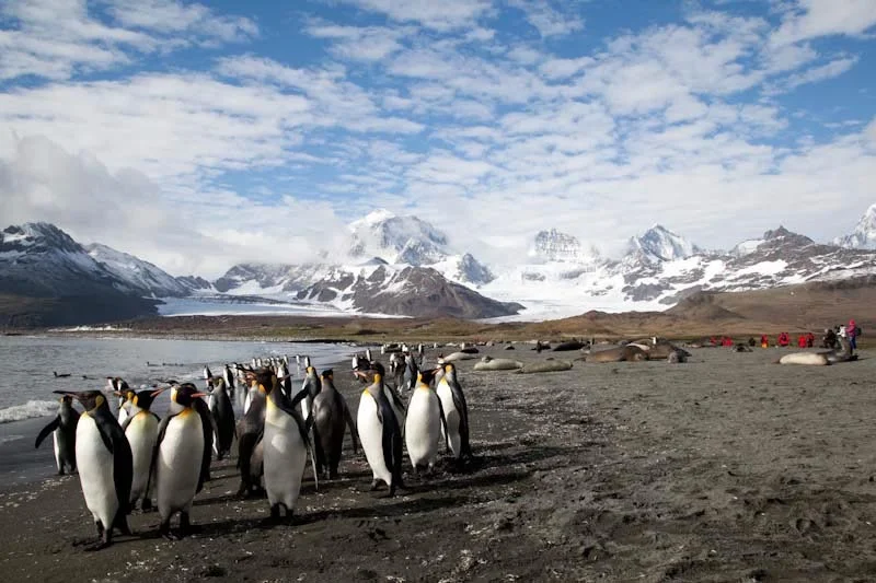 falkgeorgblog137.jpg