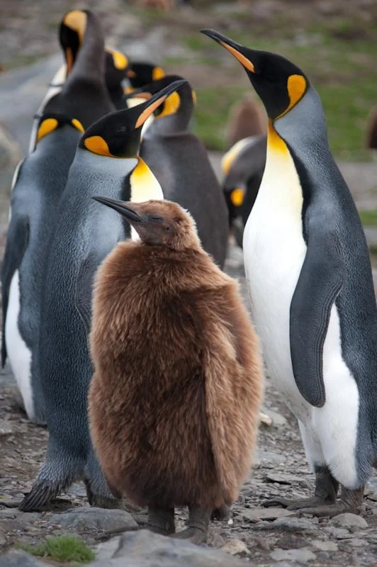 falkgeorgblog149.jpg