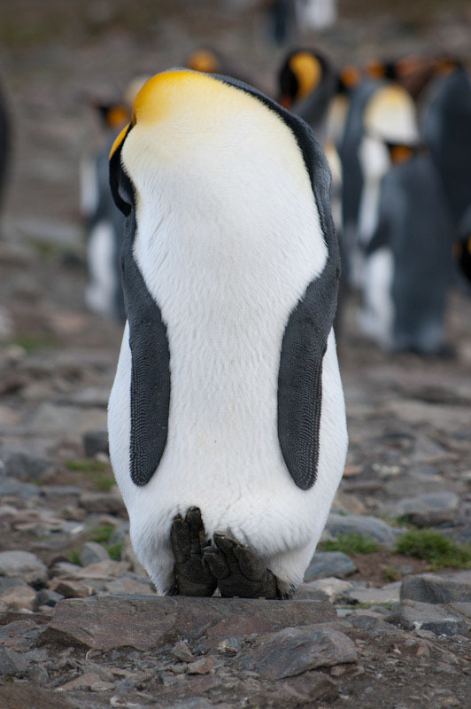 falkgeorgblog151.jpg
