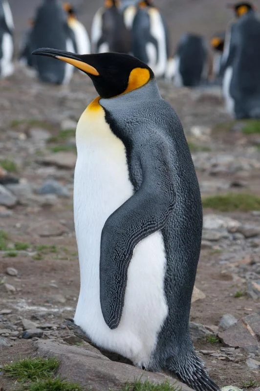 falkgeorgblog152.jpg