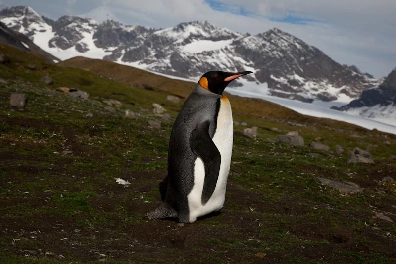 falkgeorgblog145.jpg