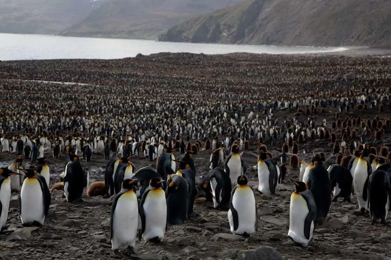 falkgeorgblog146.jpg
