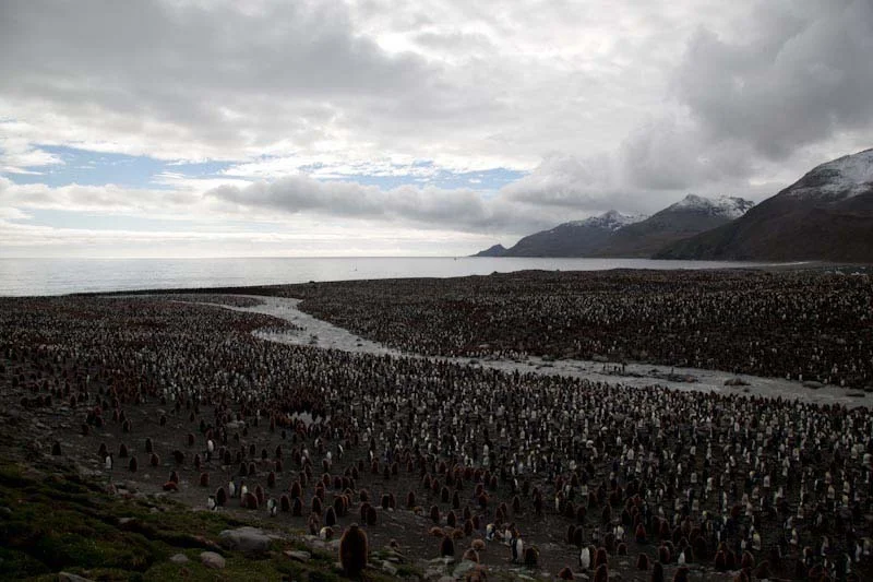 falkgeorgblog148.jpg