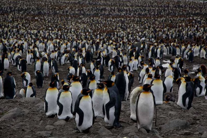 falkgeorgblog156.jpg