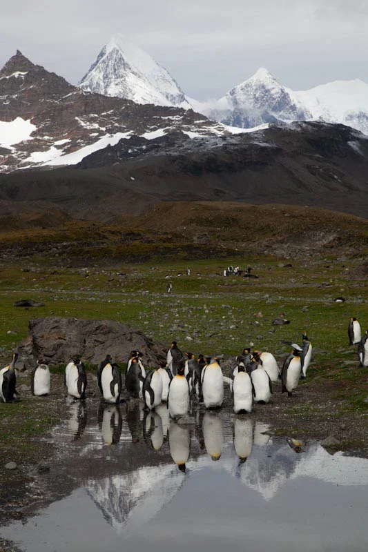 falkgeorgblog158.jpg