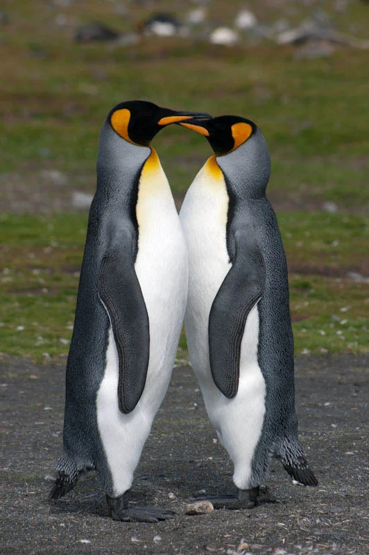 falkgeorgblog159.jpg