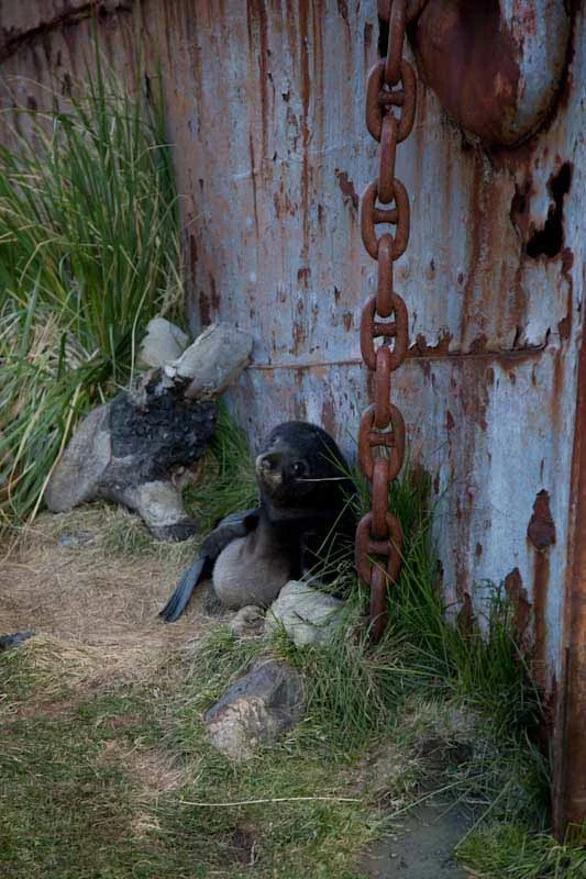 falkgeorgblog221.jpg