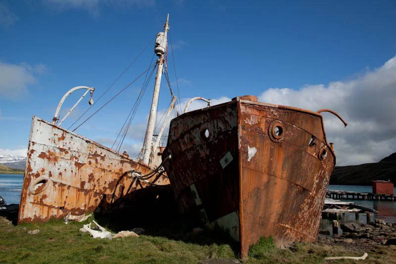 falkgeorgblog218.jpg
