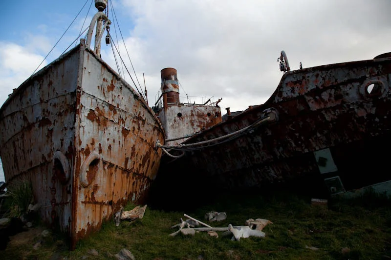 falkgeorgblog219.jpg