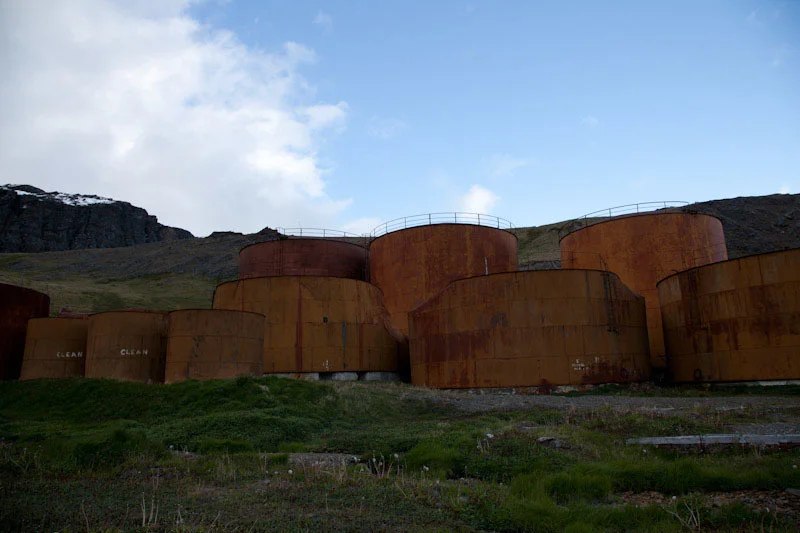 falkgeorgblog214.jpg