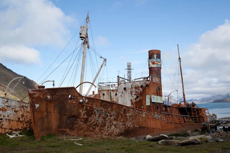 falkgeorgblog215.jpg