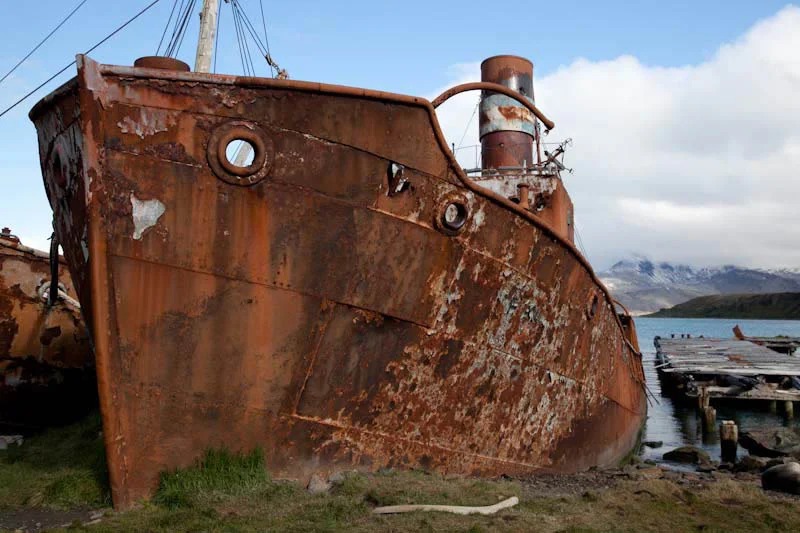 falkgeorgblog216.jpg