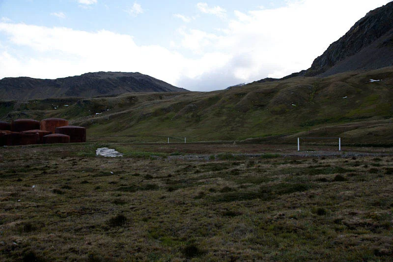 falkgeorgblog224.jpg