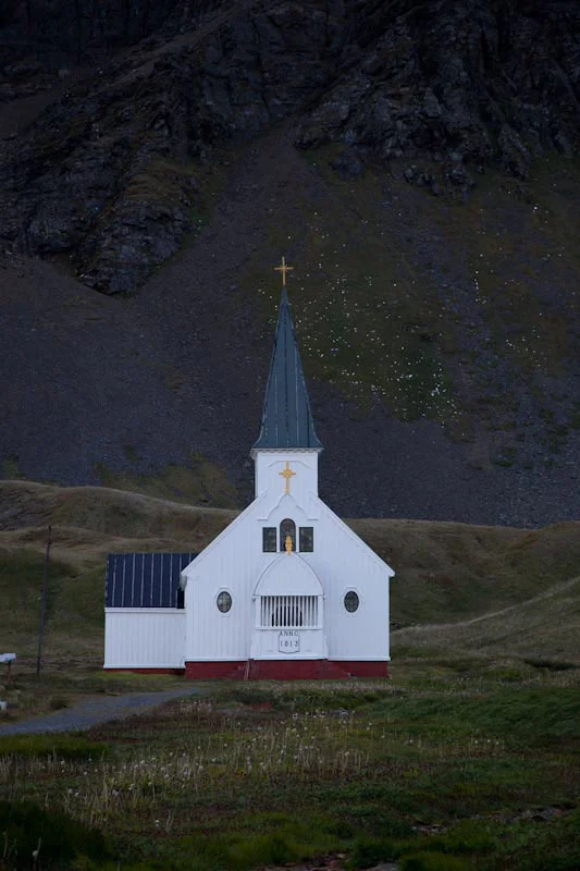 falkgeorgblog225.jpg