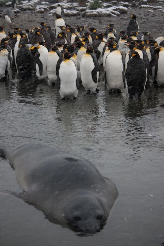 falkgeorgblog238.jpg