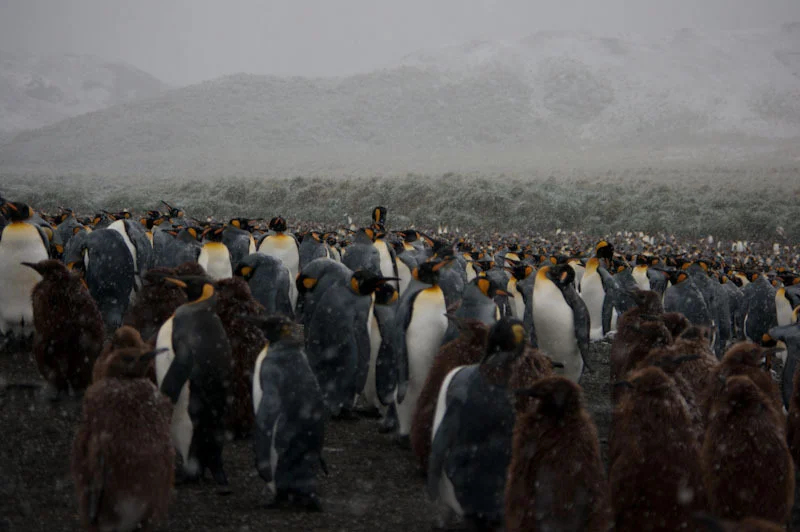 falkgeorgblog235.jpg