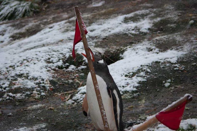 falkgeorgblog251.jpg
