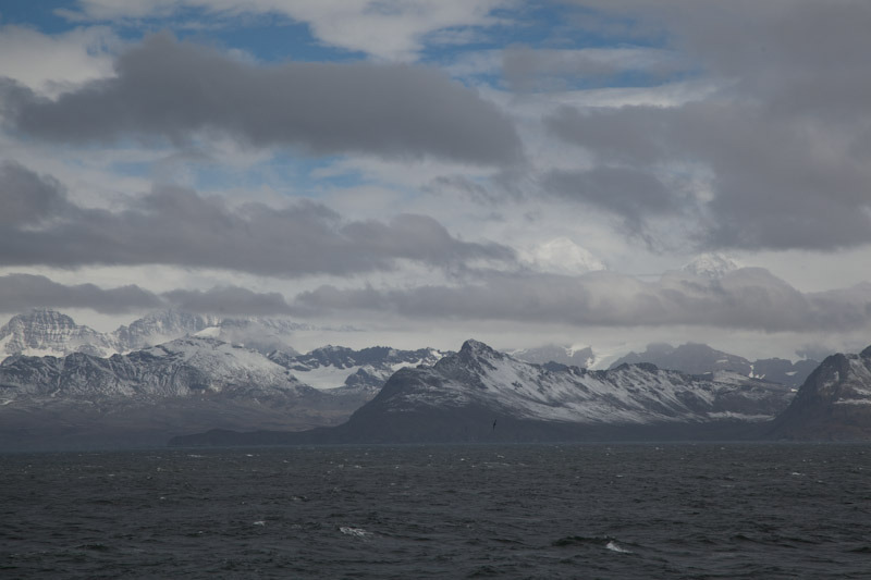 falkgeorgblog174.jpg