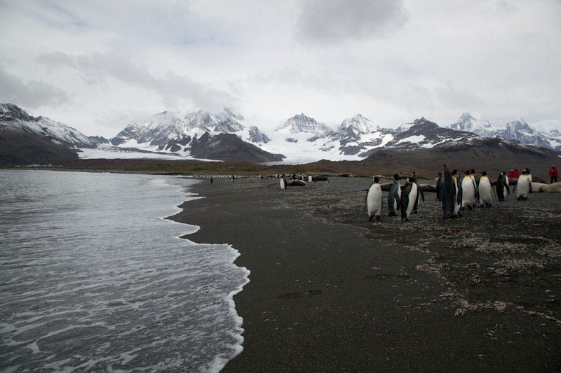 falkgeorgblog165.jpg